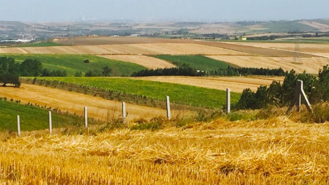 4 bin liraya KDV'den muaf tapu fırsatı! Milli Emlak'tan arsa kampanyası 2